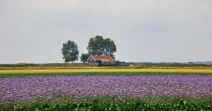 119A6548